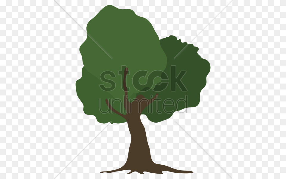 Tree Vector Image, Plant, Person Free Png Download