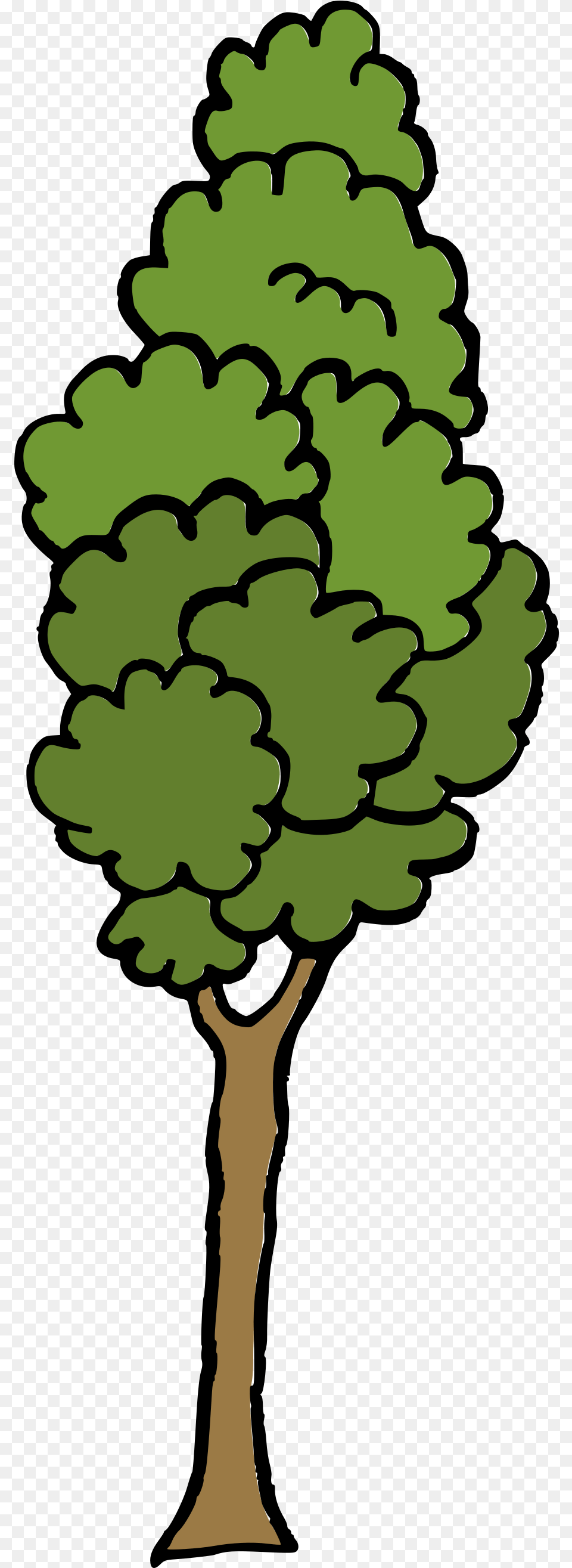 Tree Vector Svg Transparent Cartoon Tree Transparent, Conifer, Plant, Person, Oak Free Png