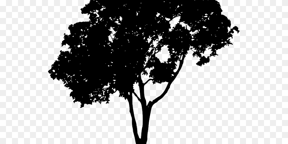 Tree Vector Tree Silhouette, Plant, Art, Drawing, Adult Free Png