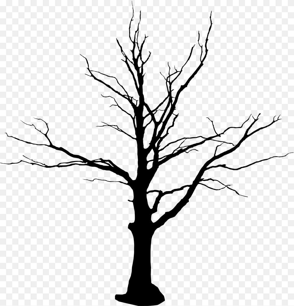 Tree Vector Tree Without Leaves, Gray Free Png