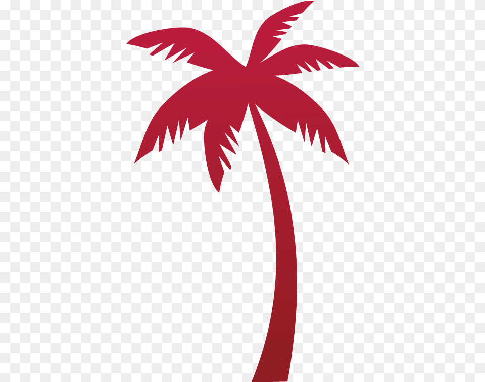 Tree Vector Tropicana Tree Coconut Euclidean Vector Vector Coconut Tree Logo, Plant, Palm Tree, Animal, Fish Free Png