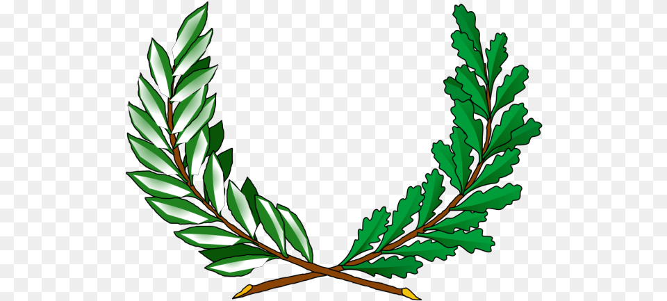 Tree Vines Svg Clip Art For Web Peace Coat Of Arms, Green, Leaf, Plant, Vegetation Png