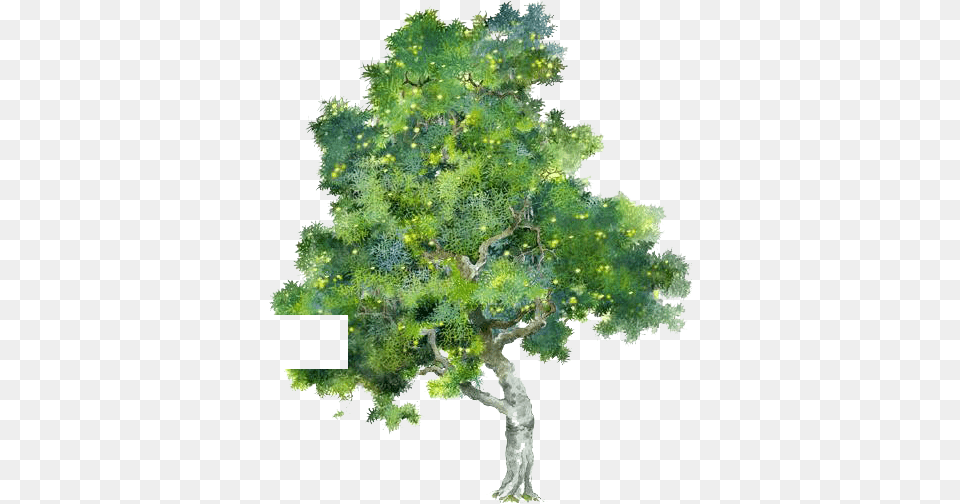 Tree Watercolor Painting Tree Water Color, Plant, Sycamore, Oak, Conifer Png