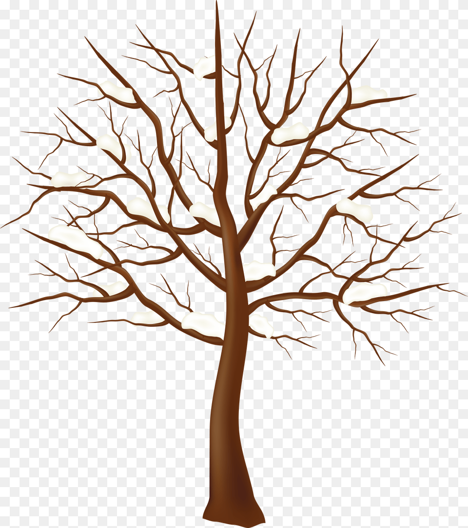 Tree Winter Clip Art Transparent Tree Branches Clipart, Oak, Plant, Sycamore, Tree Trunk Png Image