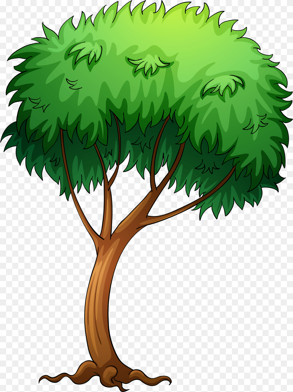 Tree With A Bird, Plant, Vegetation, Green, Conifer Free Transparent Png
