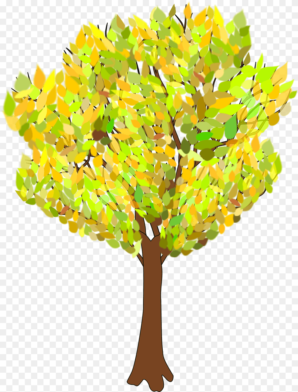 Tree With Autumn Leaves Clipart, Oak, Plant, Sycamore, Tree Trunk Png