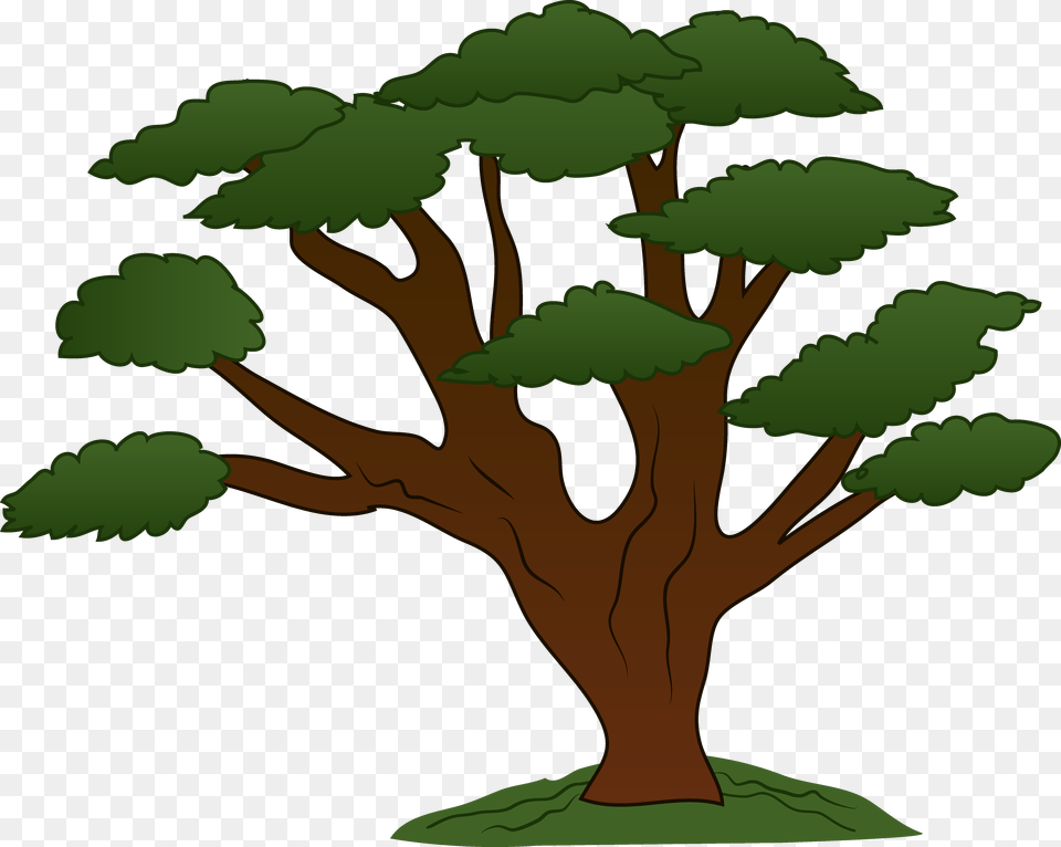 Tree With Branches Cartoon, Oak, Plant, Sycamore, Tree Trunk Free Png