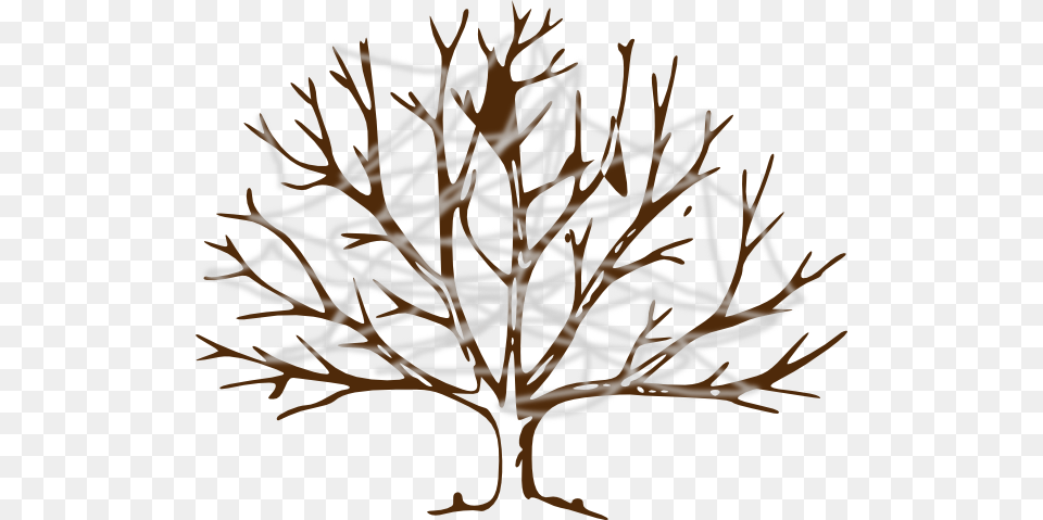 Tree With Cobwebs Clip Art, Plant, Ice, Chandelier, Lamp Png Image