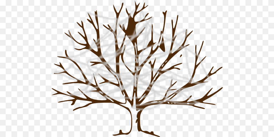 Tree With Cobwebs Clip Art Vector Clip Art Branch Tree Drawing, Chandelier, Lamp, Wood, Antler Free Png Download