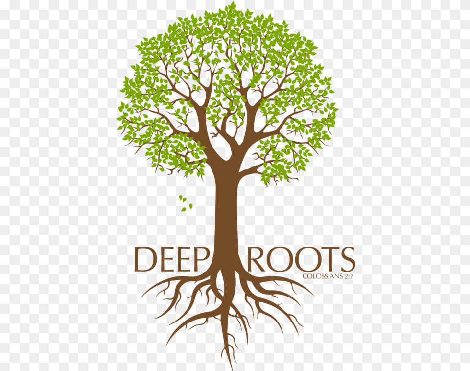 Tree With Deep Roots Be Still In Their U0026 Tree, Plant, Potted Plant, Root, Vegetation Free Png
