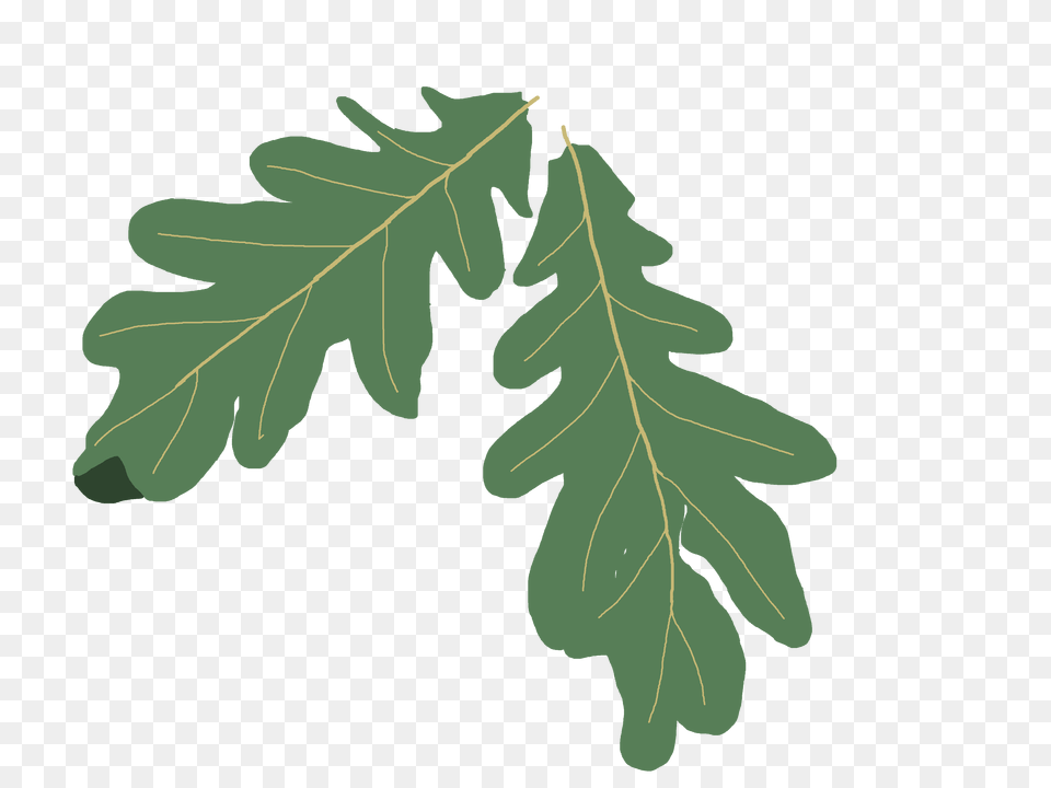 Tree With Flowers And Leaves Clip Art Gardening Flower, Leaf, Oak, Plant, Food Free Transparent Png