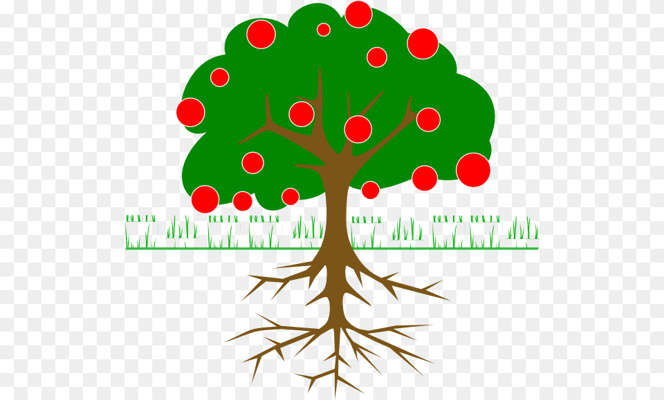Tree With Fruit Clipart, Plant, Root, Leaf, Vegetation Free Png Download