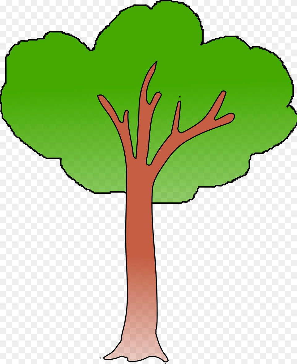 Tree With Green Leaves Clipart, Plant, Person, Art, Tree Trunk Free Png
