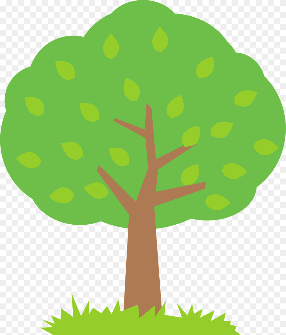 Tree With Green Leaves Clipart, Plant, Vegetation Free Png