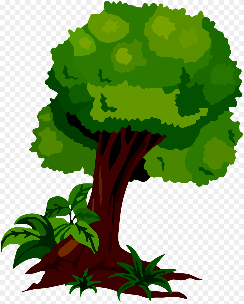 Tree With Green Leaves Clipart, Vegetation, Rainforest, Plant, Outdoors Png