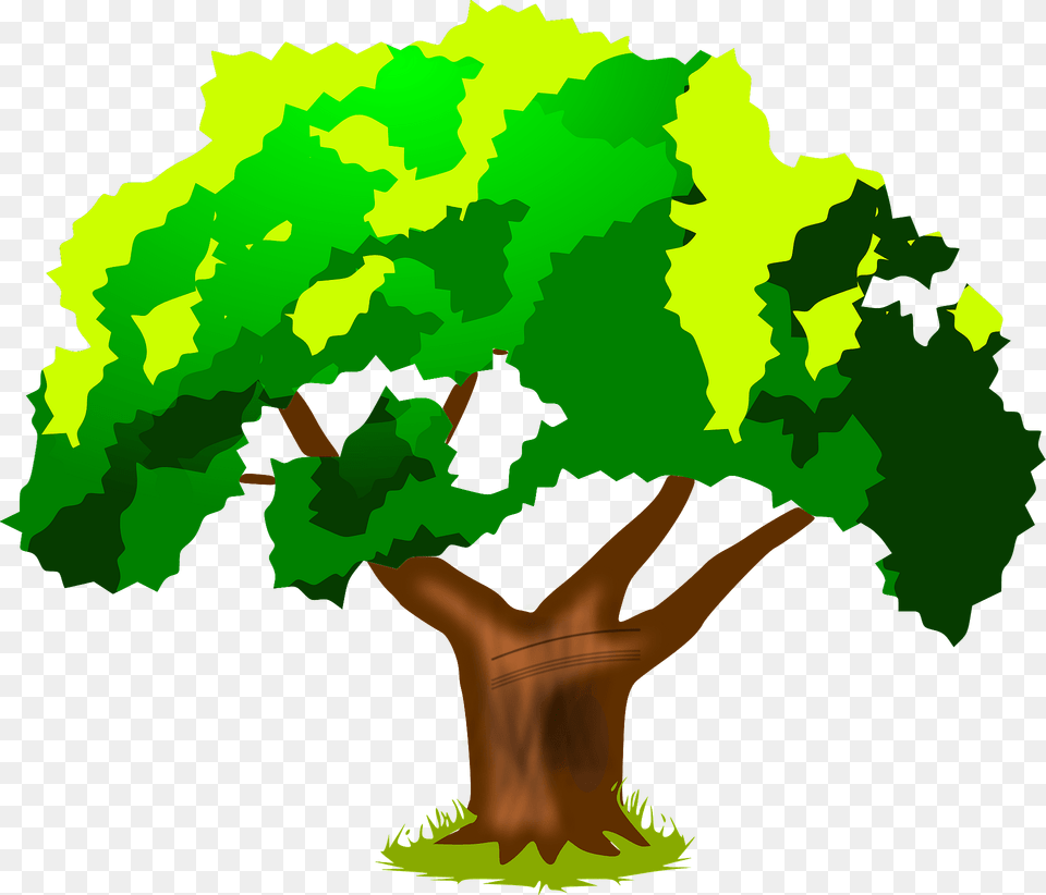 Tree With Green Leaves Clipart, Vegetation, Plant, Rainforest, Outdoors Free Transparent Png
