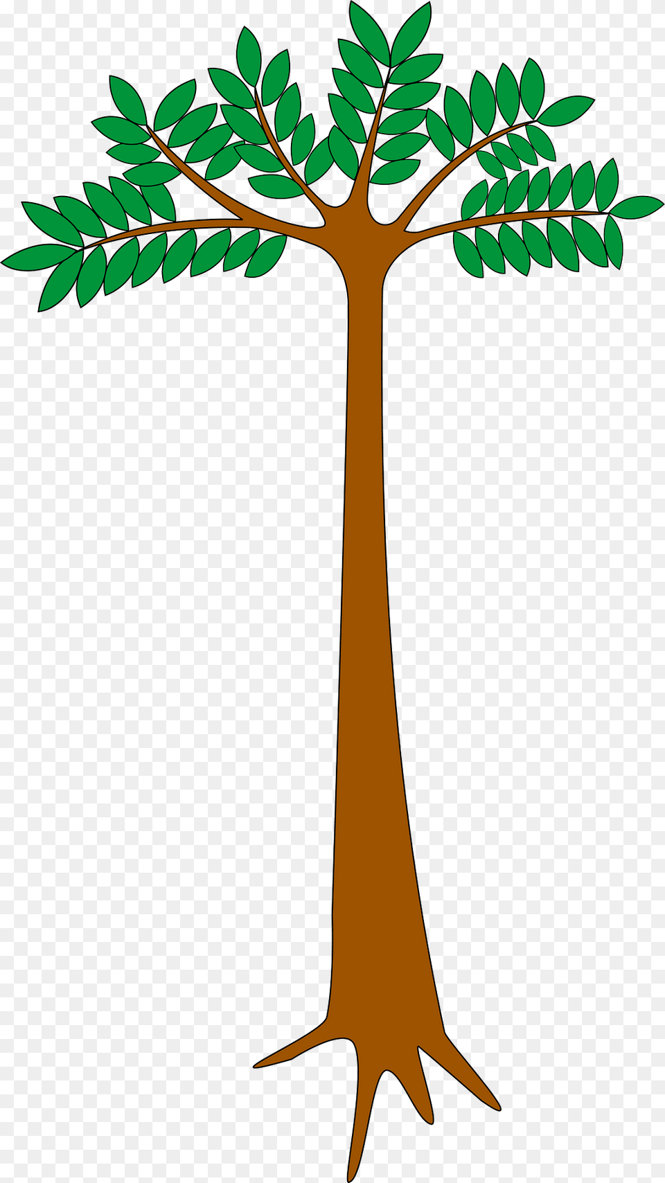 Tree With Green Leaves Clipart, Leaf, Plant, Vegetation, Cross Png