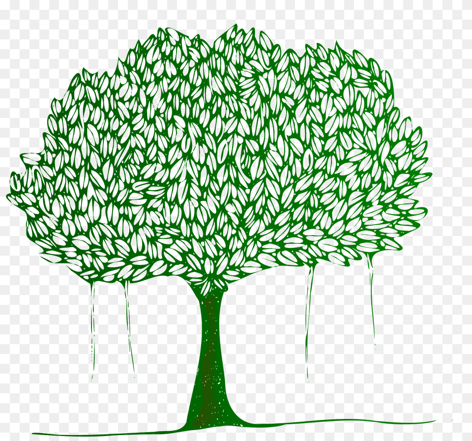 Tree With Leaves Clipart, Plant, Vegetation, Art, Drawing Png Image