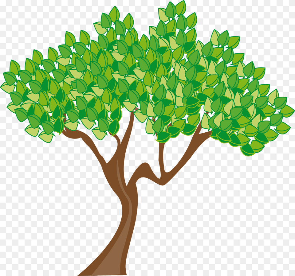Tree With Leaves Clipart, Oak, Plant, Sycamore, Vegetation Free Transparent Png