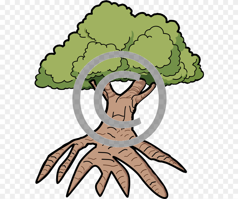 Tree With Long Roots Clipart Oak Tree, Electronics, Hardware, Adult, Person Png