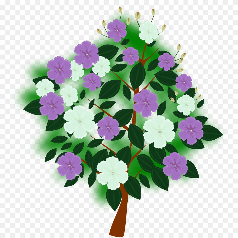 Tree With Purple And White Flowers Clipart, Geranium, Plant, Flower, Leaf Png