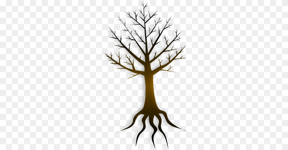 Tree With Root, Plant Free Png