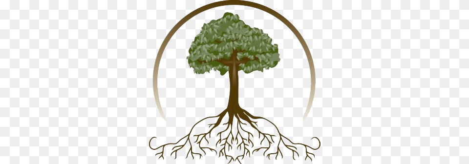 Tree With Roots, Plant, Root Png Image