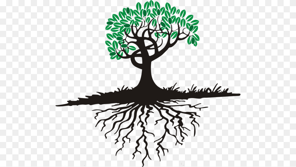 Tree With Roots Cartoon, Plant, Root, Art Free Png