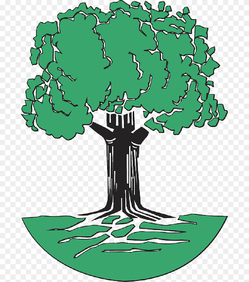 Tree With Roots Clip Art Johann Pachelbel Family Tree, Plant, Green, Vegetation, Drawing Png Image