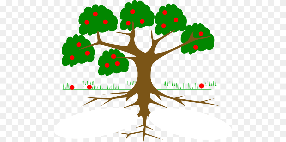 Tree With Roots Clipart Outline, Leaf, Plant, Root, Animal Free Png