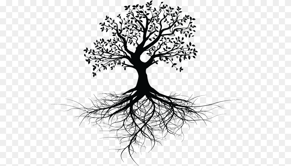 Tree With Roots Design, Pattern, Accessories, Art Free Transparent Png
