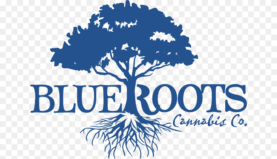 Tree With Roots Silhouette, Gray Png Image