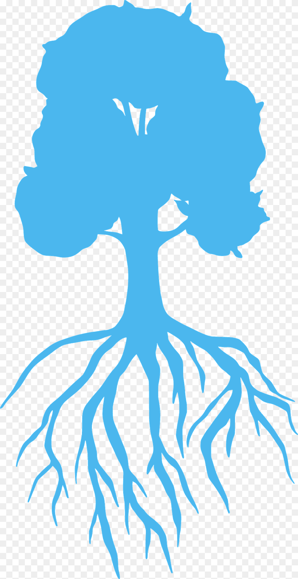 Tree With Roots Silhouette, Plant, Root, Person Free Png