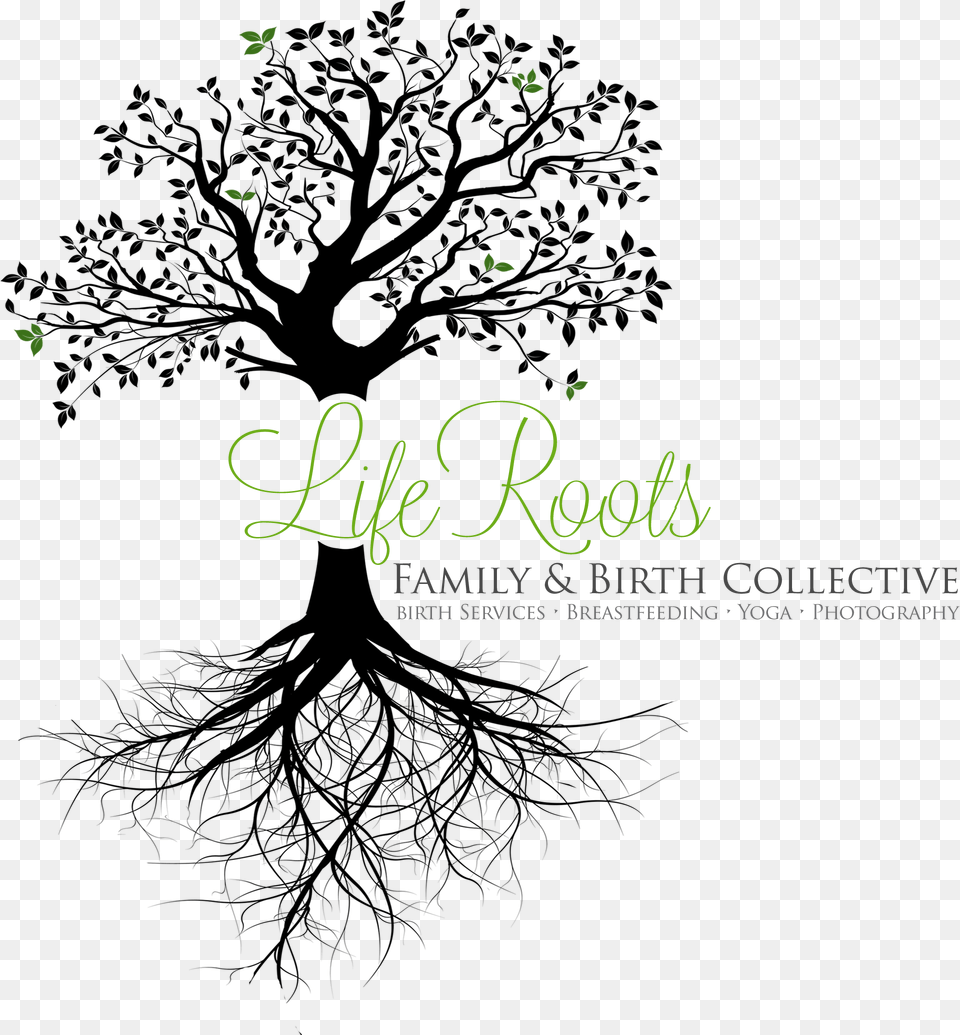 Tree With Roots Transparent Background Clipart Realistic Tree Roots Drawing, Text, Handwriting Free Png Download