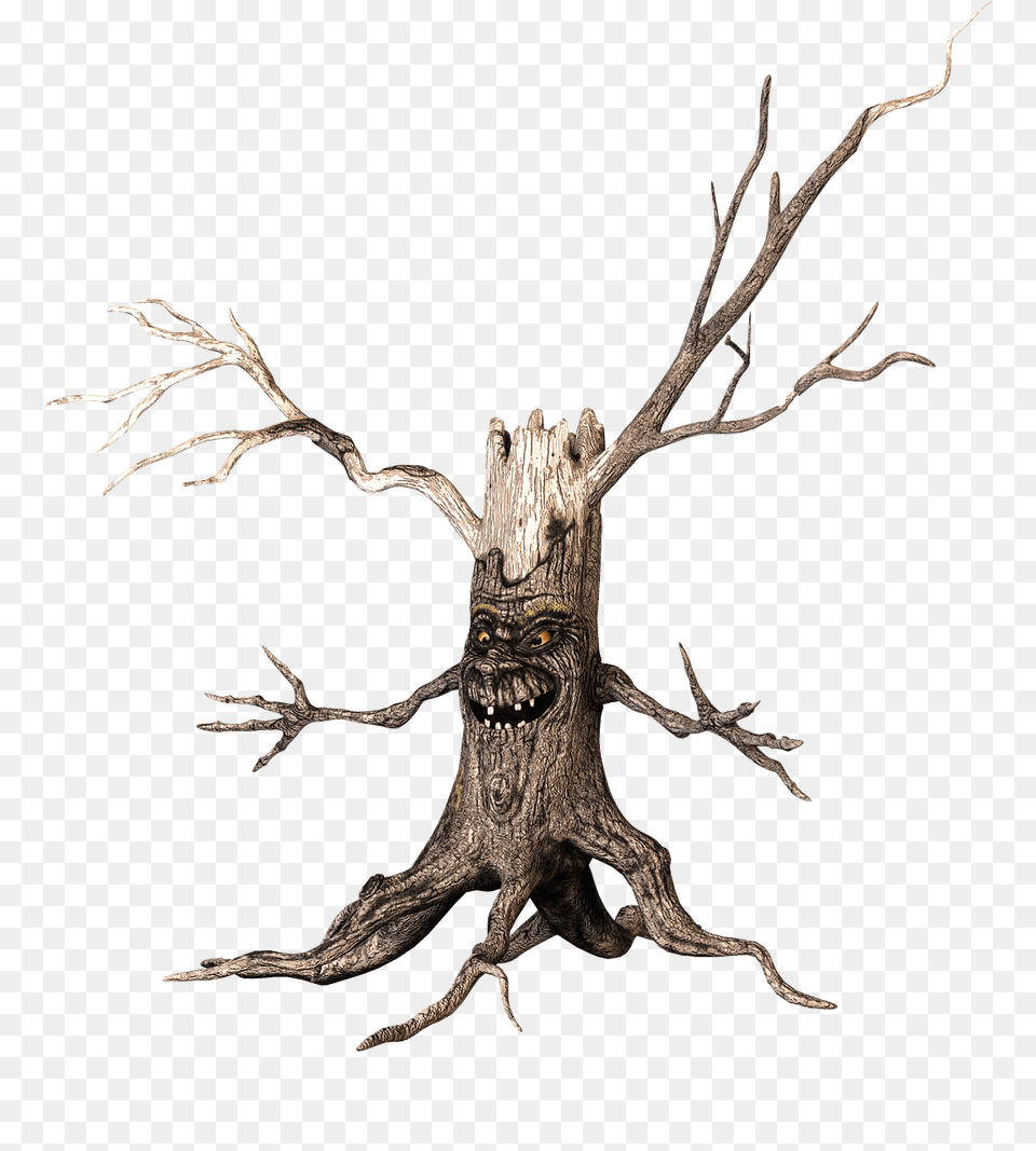 Tree With Scary Face And Arms, Plant, Wood, Animal, Kangaroo Png