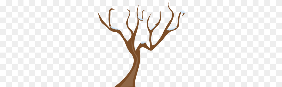 Tree Without Leaves Clip Art, Plant, Person, Outdoors Png
