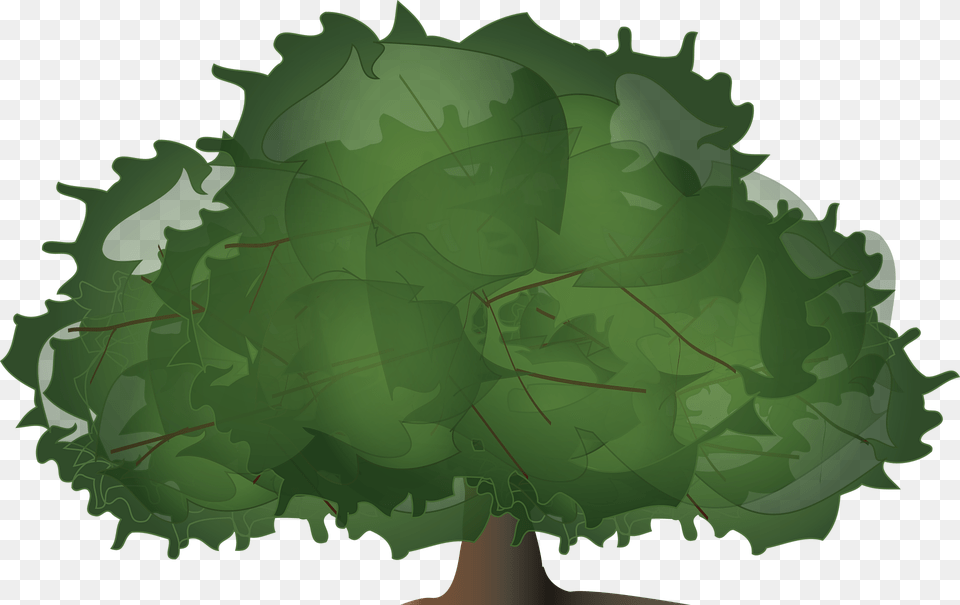 Tree Wood Paper Leaves Plant Bush Foliage Illustration, Green, Leaf, Ammunition, Weapon Free Transparent Png