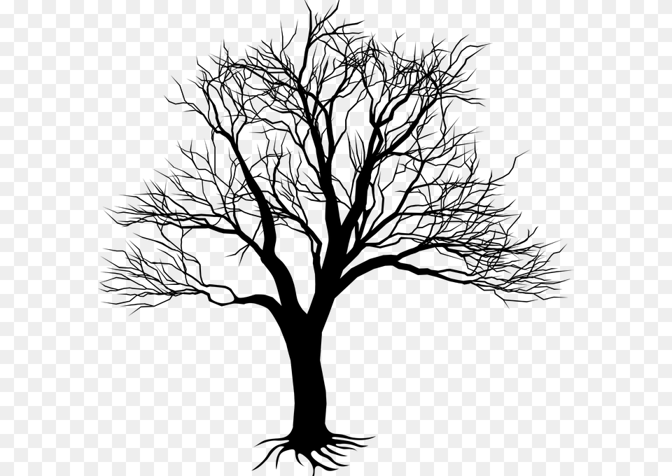 Treebranchwoody Stemblack And Whiteillustrationline Kill A Mockingbird Tree, Plant, Art, Drawing, Silhouette Free Transparent Png