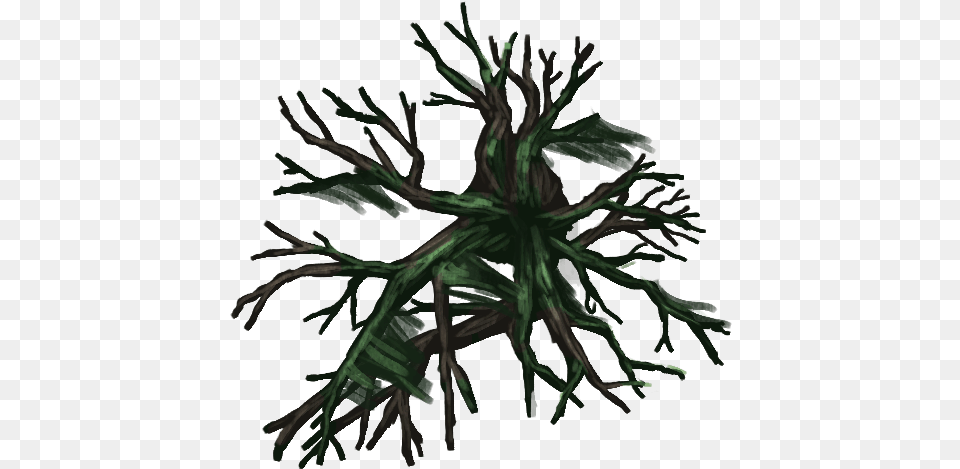 Treedecid02 20x20nature Evil Tree Tree Leafless, Plant, Root Png