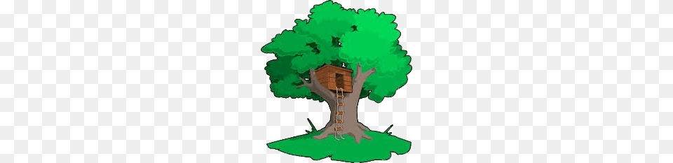 Treehouse, Architecture, Plant, Outdoors, Tree Free Png