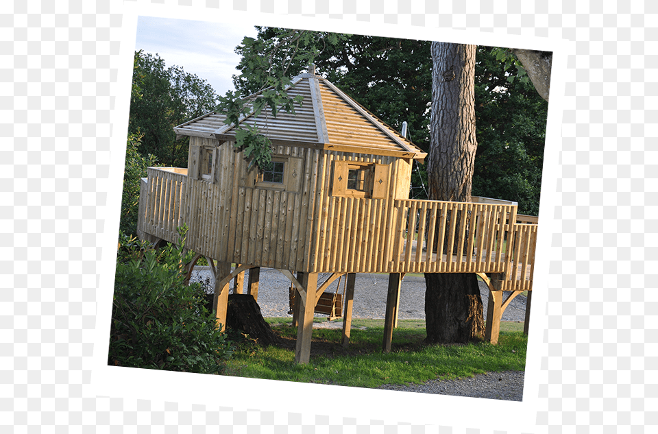 Treehouse Backyard, Architecture, Tree House, Wood, Housing Png Image