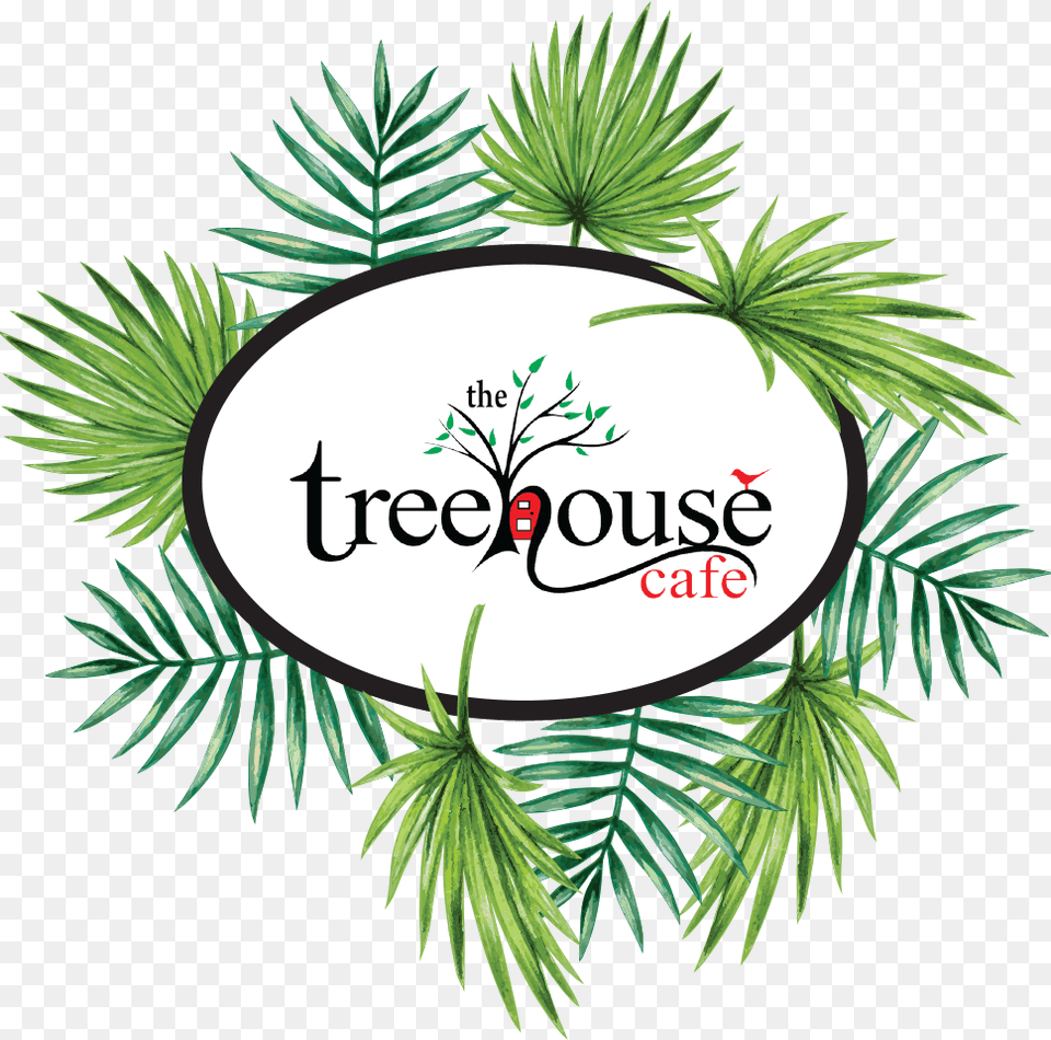 Treehouse Cafe Ulladulla, Vegetation, Tree, Plant, Leaf Free Png