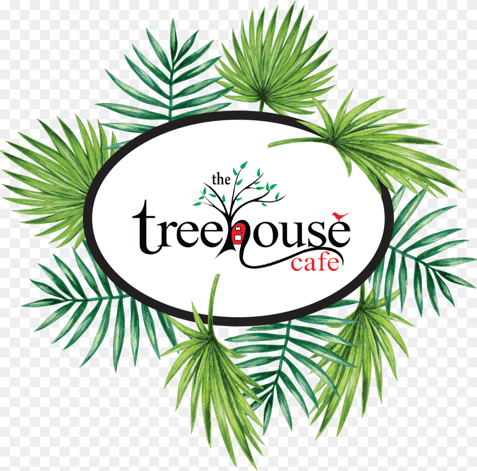 Treehouse Cafe Ulladulla Cafe Tree House Logo, Vegetation, Plant, Leaf, Conifer Free Png
