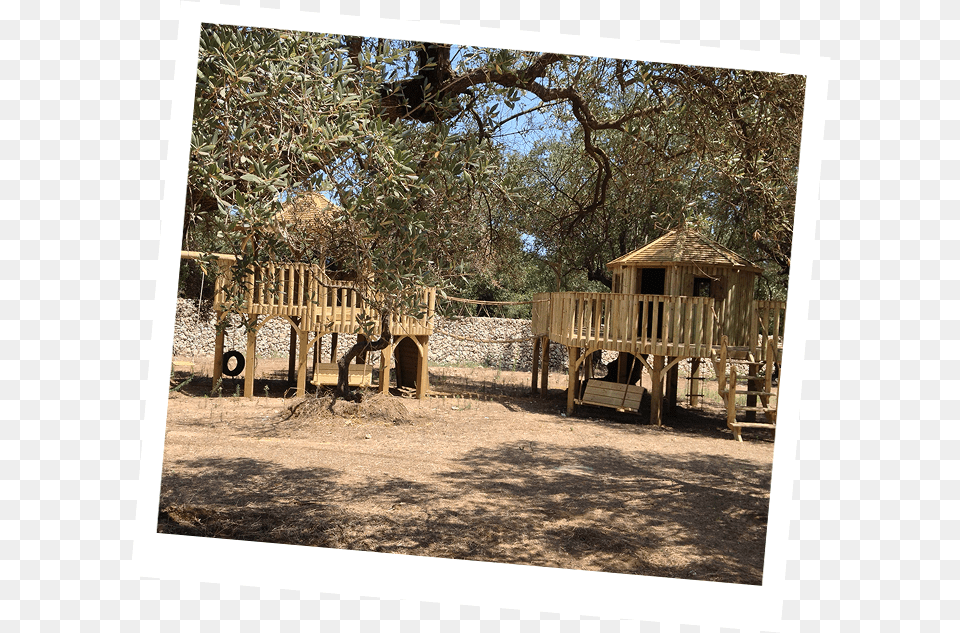 Treehouse Child Carousel, Outdoor Play Area, Outdoors, Play Area, Architecture Png
