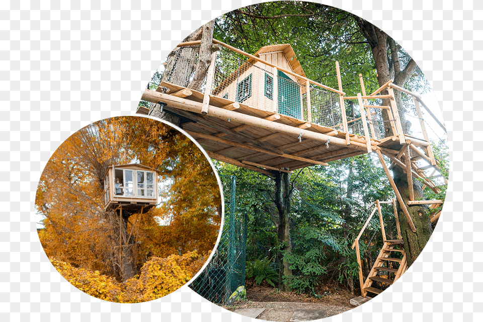 Treehouses Baumhaus Baumhausmacher Baumhausprofis Tree, Architecture, Building, Cabin, House Png Image