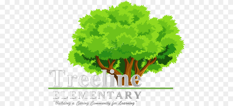 Treeline Elementary School Tree Clipart, Woodland, Vegetation, Plant, Outdoors Free Png Download