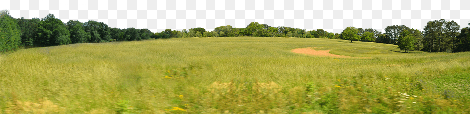 Treeline Field Background, Countryside, Rural, Outdoors, Nature Free Png Download