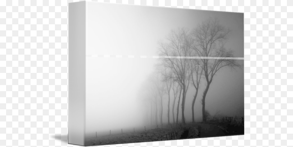 Treeline In The Fog By Jurgen, Mist, Nature, Outdoors, Weather Free Png Download