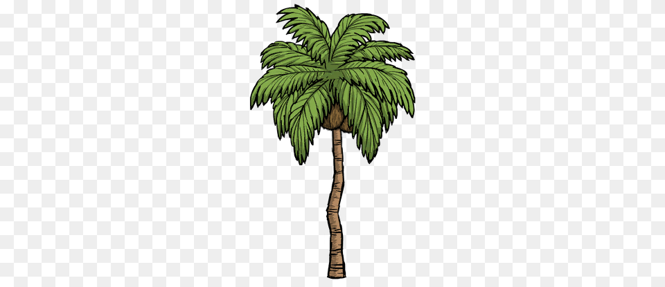 Treepalm Tree Dont Starve Game Wiki Fandom Powered, Palm Tree, Plant, Leaf, Vegetation Free Transparent Png
