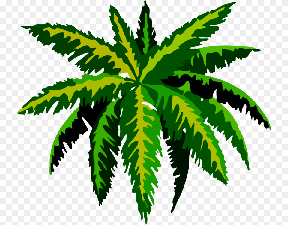 Treeplantleaf Tropical Rainforest Tree Drawing, Green, Leaf, Plant, Hemp Png Image